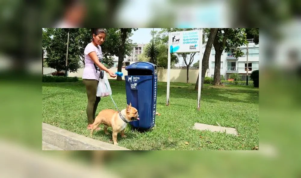 Miraflores aprueba Ordenanza que promueve la convivencia amigable con los animales domésticos. Foto: Difusión Miraflores aprueba Ordenanza que promueve la convivencia amigable con los animales domésticos. Foto: Difusión