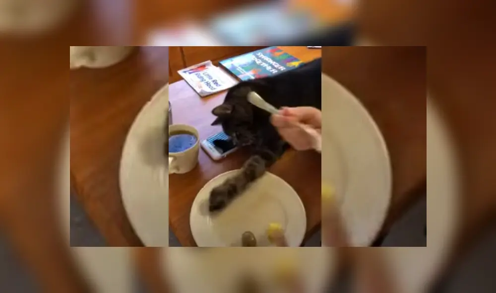 Desliza hacia la izquierda para ver más del video viral. Fotocaptura: YouTube