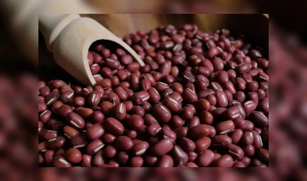 frejol adzuki frejol adzuki