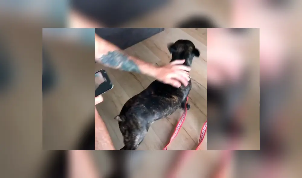 Desliza la imagen compartida en YouTube para verlas todas.