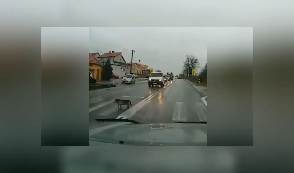 Desliza para ver los momentos más importantes del video que se hizo viral en YouTube. Desliza para ver los momentos más importantes del video que se hizo viral en YouTube.