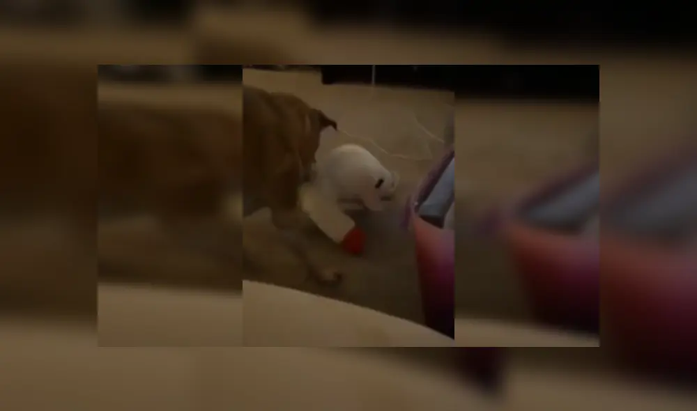 Desliza las imágenes para ver más detalles de esta conmovedora escena que es viral en Facebook.