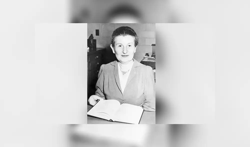 Google Translate: Buscó 'Hedwig Kohn' y el resultado lo dejó impactado [FOTOS] 