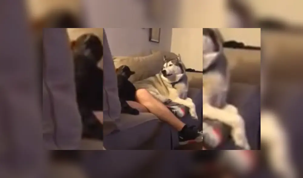 Desliza hacia la izquierda para ver más del video viral. Desliza hacia la izquierda para ver más del video viral.