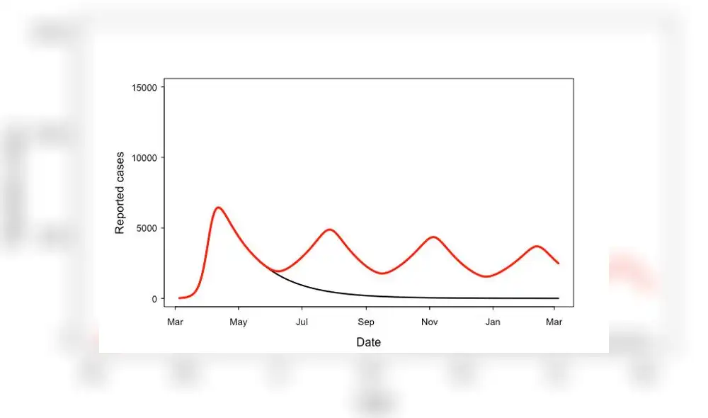 Uno de los posibles escenarios de una segunda ola de COVID-19. Crédito: Adam Kleczkowski.
