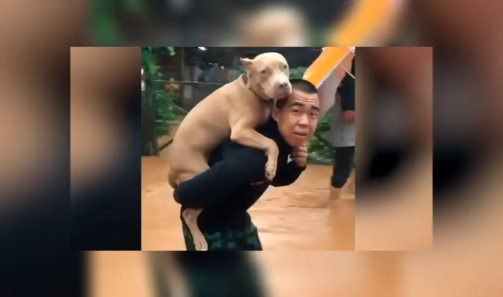 Desliza la imagen de YouTube para verlas todas. Foto: Viral Press Desliza la imagen de YouTube para verlas todas. Foto: Viral Press