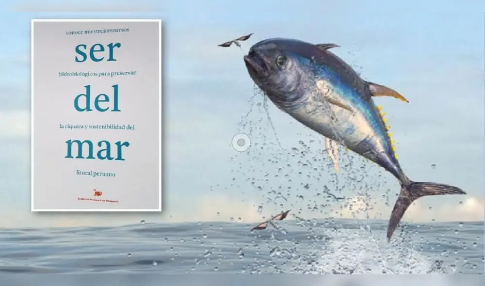 Portada del libro que ofrece información sobre las especies del mar del Perú.