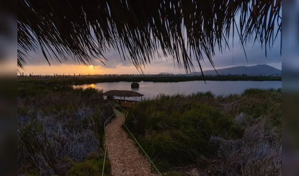 En el marco de la celebración por el Día Mundial del Turismo, los Pantanos de Villa, el Parque de las Leyendas y el Circuito Mágico ofrecerán actividades virtuales. Créditos: Municipalidad de Lima