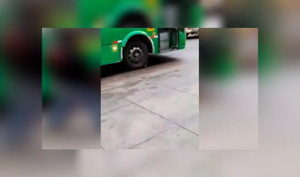 El video viral de Facebook muestra el momento en que un gato intenta suicidarse tras colocase frente a llanta de bus en Huachipa. El video viral de Facebook muestra el momento en que un gato intenta suicidarse tras colocase frente a llanta de bus en Huachipa.