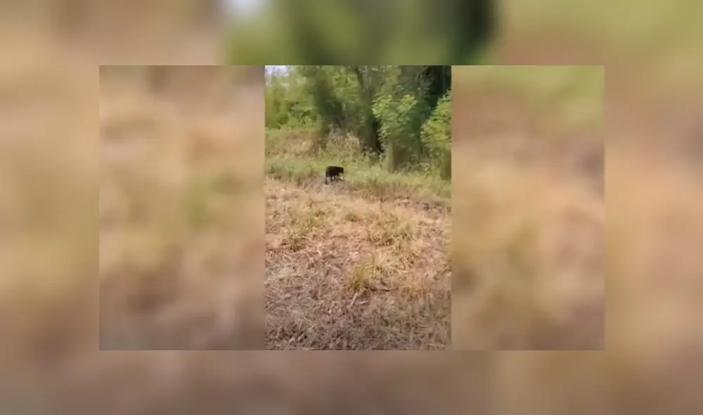 Desliza hacia la izquierda para ver más del video viral. Fotocaptura: YouTube