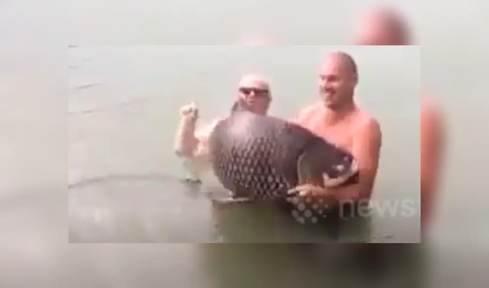 Desliza hacia la izquierda para ver el momento en que los turistas son atacados por el gigantesco pez, escena que es viral en Facebook. Desliza hacia la izquierda para ver el momento en que los turistas son atacados por el gigantesco pez, escena que es viral en Facebook.