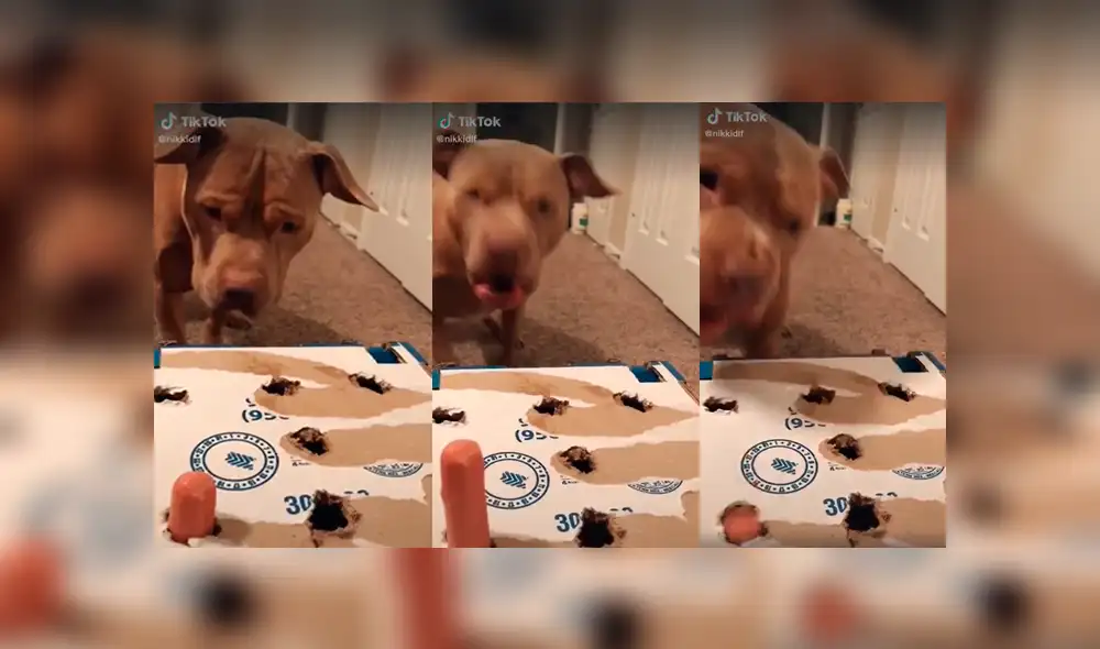 Desliza a la izquierda para ver el juego que ha sorprendido a los usuarios de Facebook. Foto: Captura. Desliza a la izquierda para ver el juego que ha sorprendido a los usuarios de Facebook. Foto: Captura.