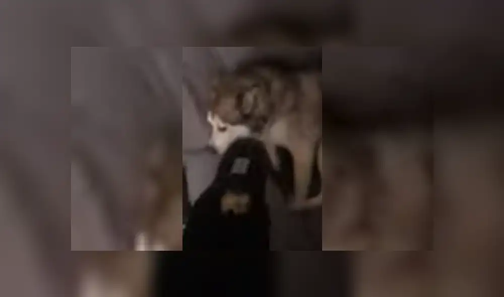 Desliza hacia la izquierda para ver más del video viral. Fotocaptura: YouTube Desliza hacia la izquierda para ver más del video viral. Fotocaptura: YouTube