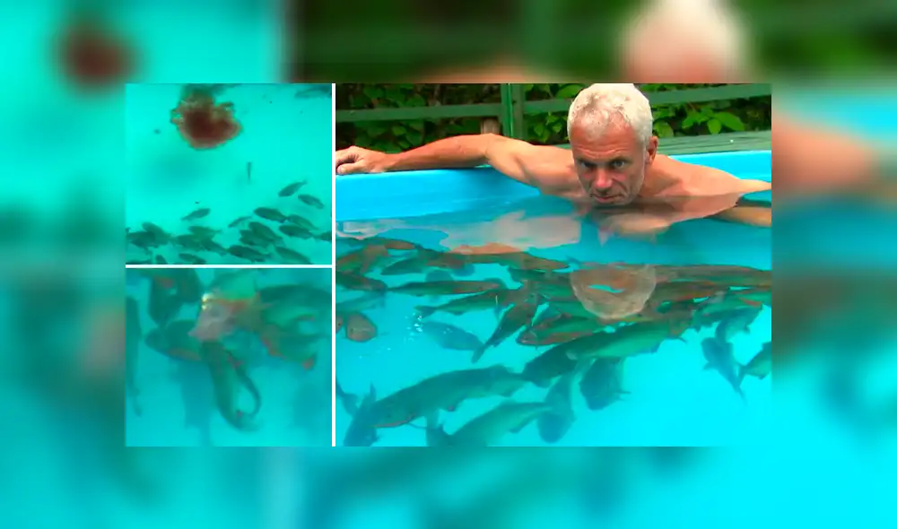 YouTube viral: aventurero se sumerge en piscina de pirañas asesinas y resultado causa asombro [VIDEO]