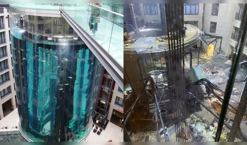 El antes y después del acuario más importante de Alemania. Foto: El español El antes y después del acuario más importante de Alemania. Foto: El español