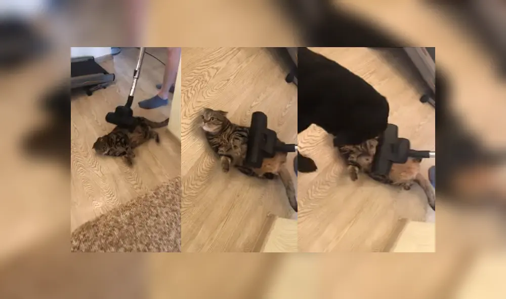 Desliza para ver los detalles del video viral publicado en YouTube. Foto: Captura. Desliza para ver los detalles del video viral publicado en YouTube. Foto: Captura.