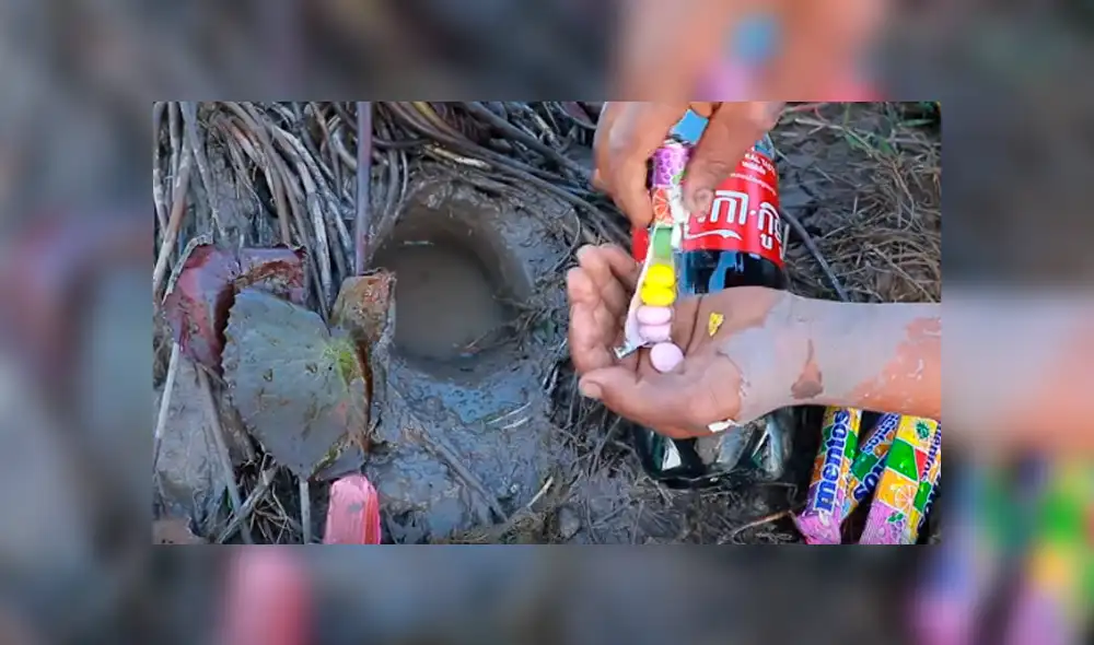 Desliza hacia la izquierda para ver el hallazgo que hizo el pescador y se volvió viral en YouTube.