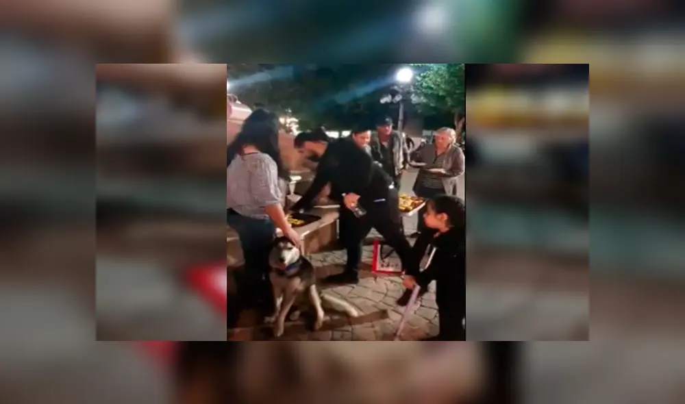 En Facebook, una joven decidió vender varios productos para ayudar a su mascota que tiene bolas en el cuerpo. En Facebook, una joven decidió vender varios productos para ayudar a su mascota que tiene bolas en el cuerpo.