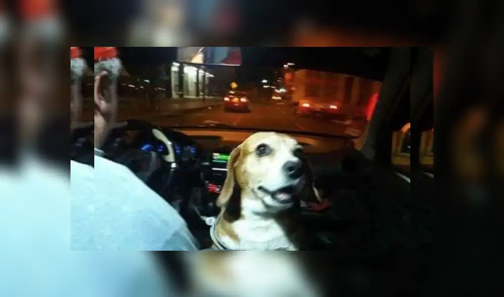 Desliza las imágenes para ver más detalles sobre esta escena que es viral en Facebook.