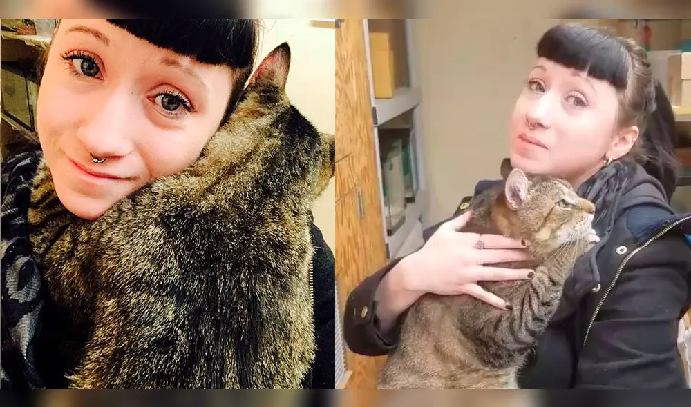 YouTube viral: gato tiene emotiva reacción al saber que será adoptado [VIDEO]