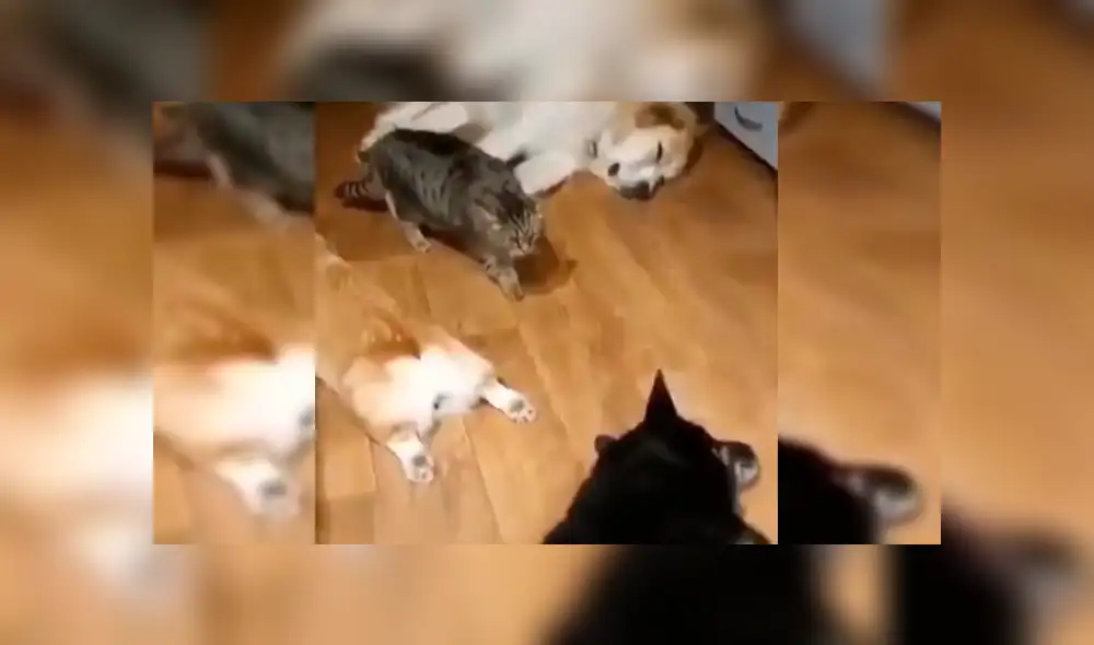 Desliza para ver los detalles del video viral publicado en YouTube. Foto: Captura.