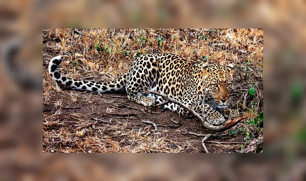 Desliza para ver los detalles de esta historia que se viralizó en Facebook. Foto: Captura.