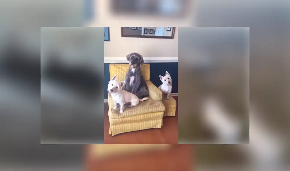 Desliza para ver los detalles de esta triste historia de Facebook. Foto: Captura.