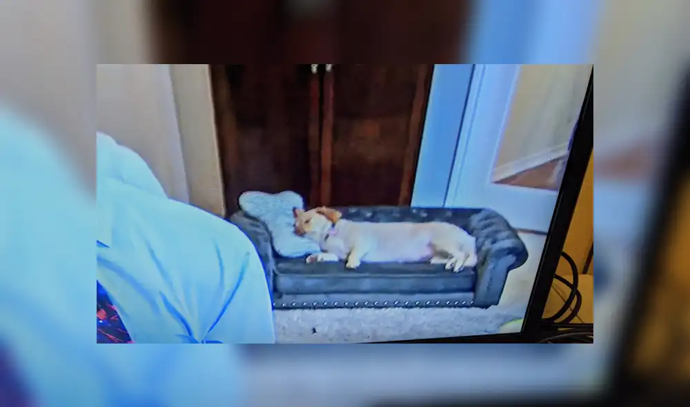 Desliza a la izquierda para conocer más sobre esta serie de fotografías que ahora son virales en Facebook. Foto: Captura.