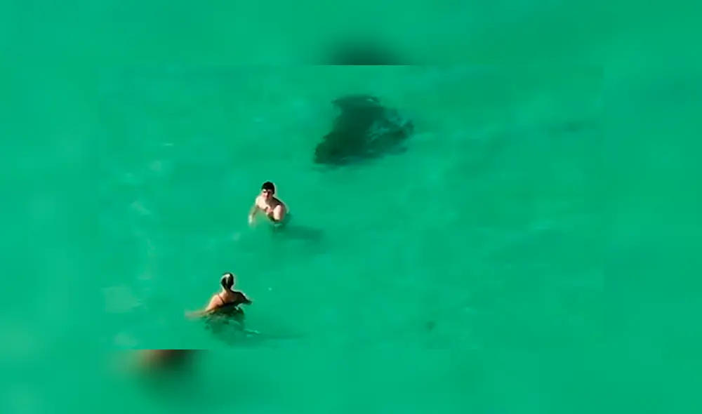 YouTube viral: Enorme criatura emerge del mar y bañistas no se dan cuenta del peligro [VIDEO] 