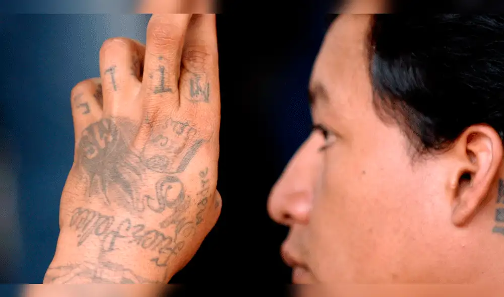 El brutal crimen que cometió la Mara Salvatrucha en un parque de Estados Unidos El brutal crimen que cometió la Mara Salvatrucha en un parque de Estados Unidos