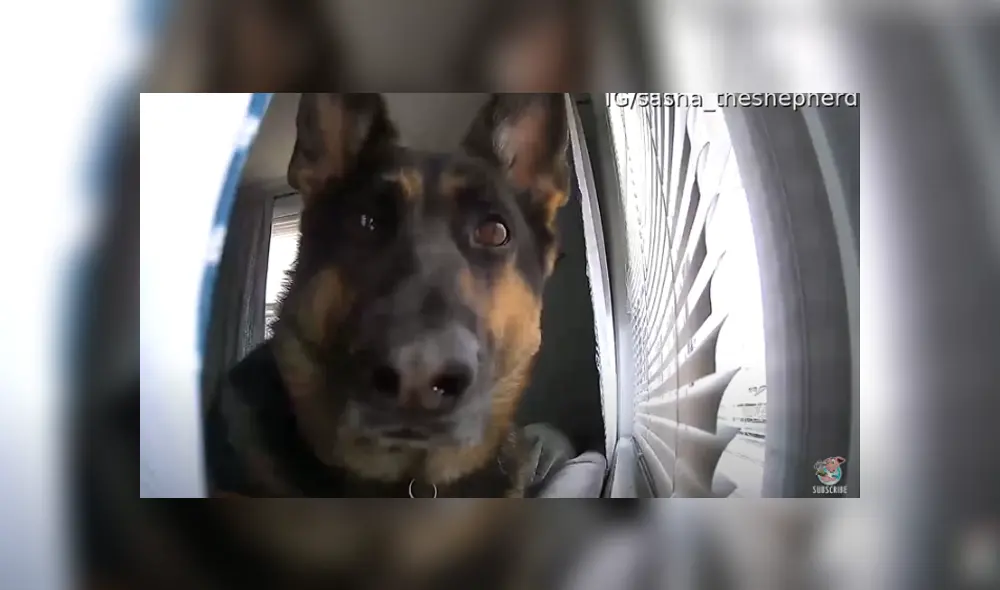 Desliza hacia la izquierda para ver las divertidas imágenes del viral de Facebook. Desliza hacia la izquierda para ver las divertidas imágenes del viral de Facebook.