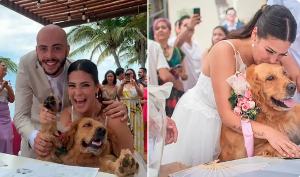 Desliza hacia la izquierda para ver las tiernas imágenes de la perrita testigo de una boda. Foto: Facebook Desliza hacia la izquierda para ver las tiernas imágenes de la perrita testigo de una boda. Foto: Facebook