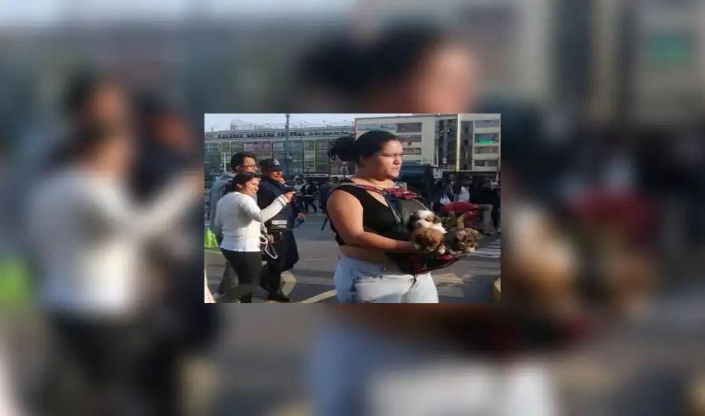 Continúa la venta ilegal de perros en el Centro de Lima 