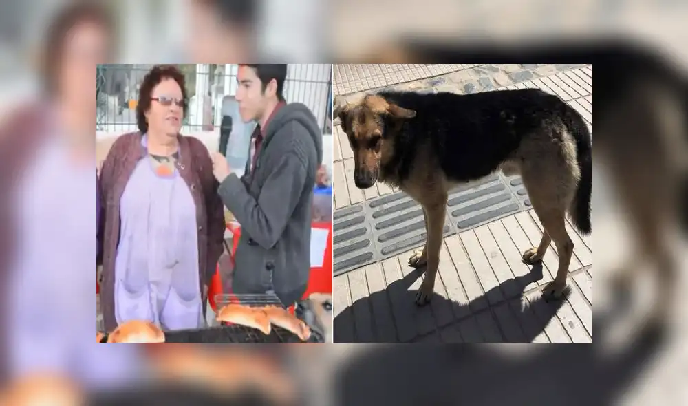 Facebook: la triste historia de ‘Orejón’, el perro que hurtó una empanada en plena entrevista [VIDEO]