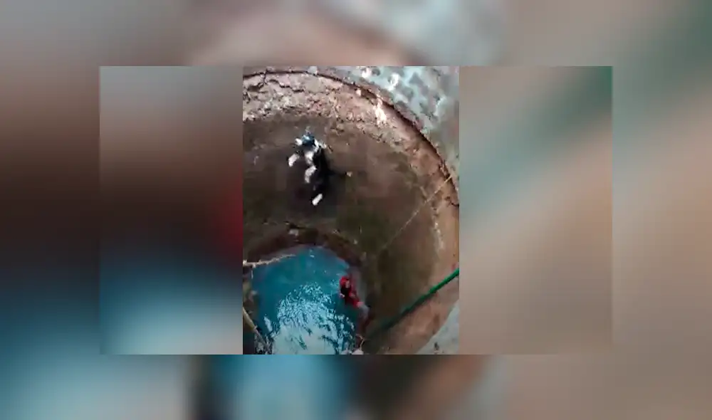 Desliza para ver los momentos más impactantes del video que se hizo viral en Facebook.