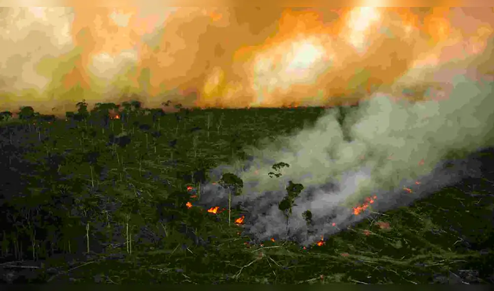 Presentan colección de mapas de cobertura y uso del suelo de la Amazonía Presentan colección de mapas de cobertura y uso del suelo de la Amazonía