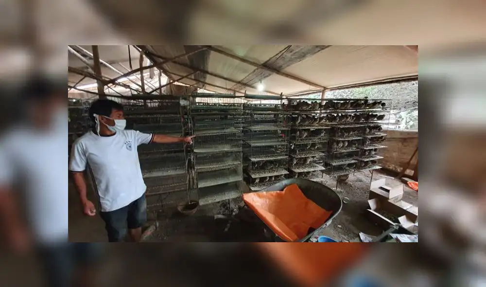 Gracias al apoyo de varias personas y de alcaldes, Richard Huaraca continuará con su negocio. (Foto: GLR - URPI) Gracias al apoyo de varias personas y de alcaldes, Richard Huaraca continuará con su negocio. (Foto: GLR - URPI)