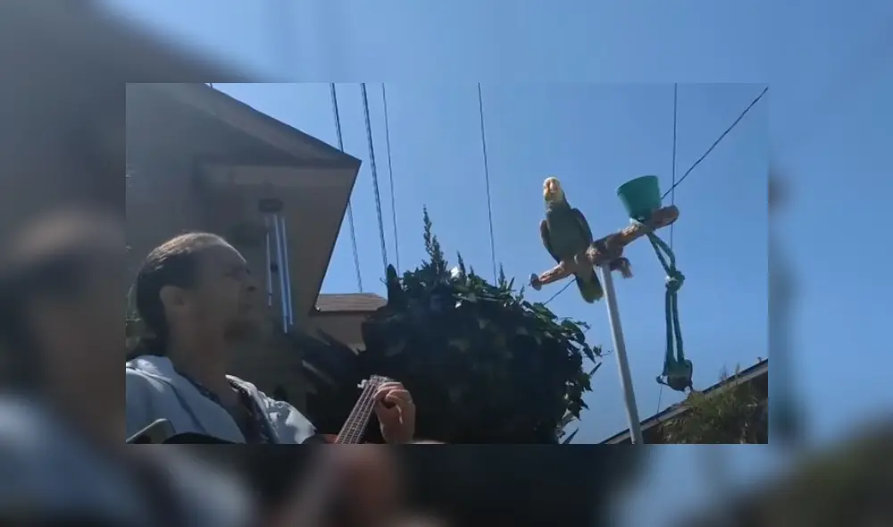 Desliza hacia la izquierda para ver más del video viral. Fotocaptura: YouTube