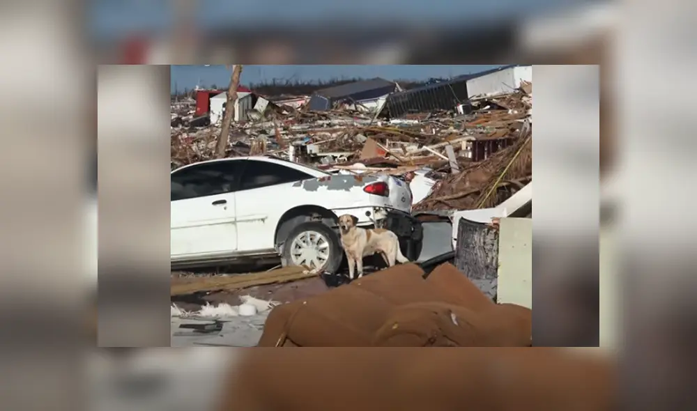 Desliza hacia la izquierda para ver el conmovedor rescate. Imágenes virales de Facebook. Desliza hacia la izquierda para ver el conmovedor rescate. Imágenes virales de Facebook.