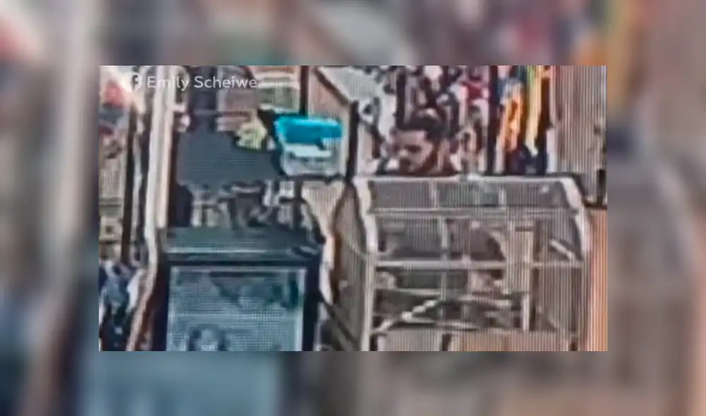 YouTube viral: un hombre ocultó en el lugar menos indicado a una serpiente que había robado  [VIDEO] 