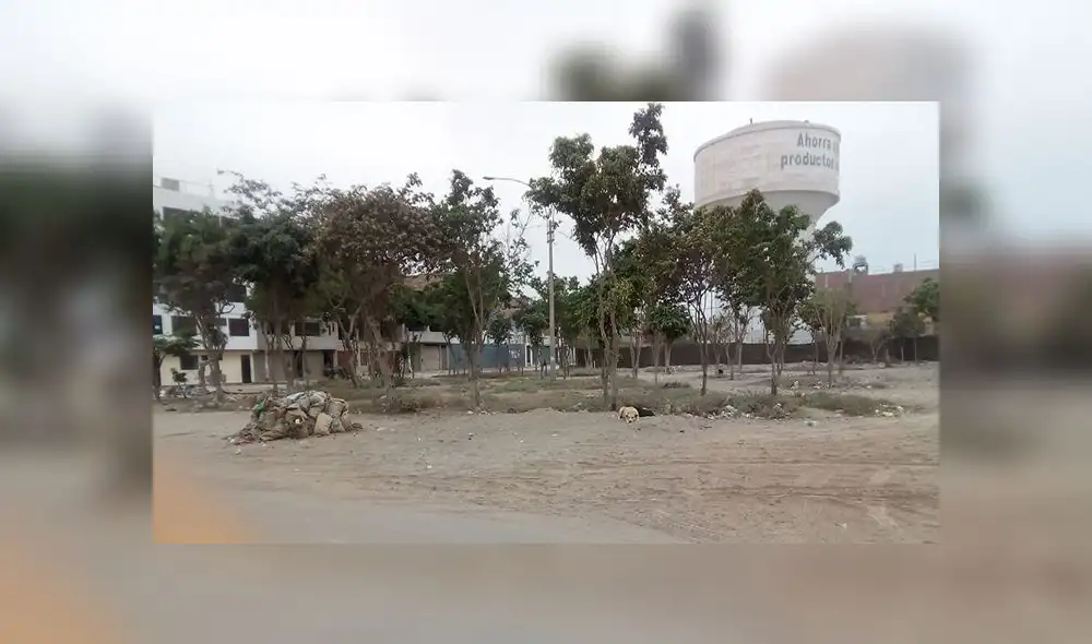 SMP: reclaman falta de riego en áreas verdes en parque SMP: reclaman falta de riego en áreas verdes en parque