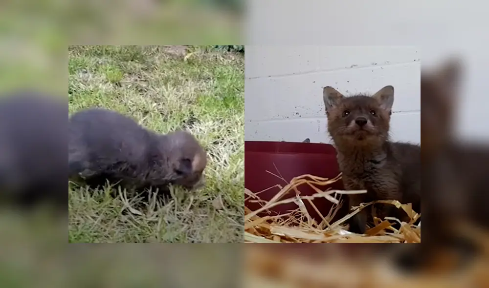 Desliza para ver los momentos más emotivos del video que se hizo viral de Facebook. Desliza para ver los momentos más emotivos del video que se hizo viral de Facebook.