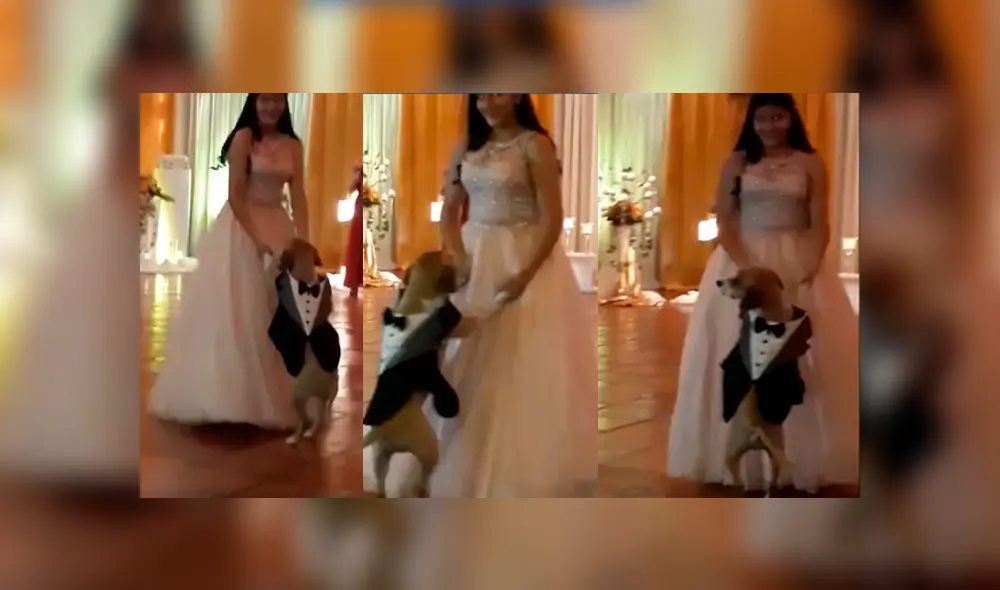 Desliza para ver los detalles de este video viral publicado en Facebook. Foto: Captura. Desliza para ver los detalles de este video viral publicado en Facebook. Foto: Captura.