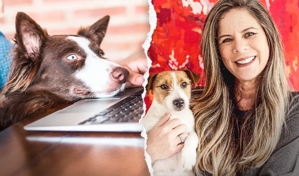 Para hacer uso del servicio web, el propietario tendrá que registrar el perfil de la mascota. Foto: Mike al rescate