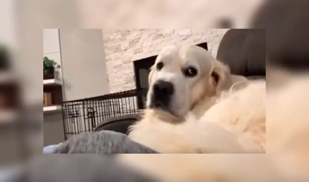 Desliza para ver lo momento más divertidos del video que se hizo viral en YouTube. Desliza para ver lo momento más divertidos del video que se hizo viral en YouTube.