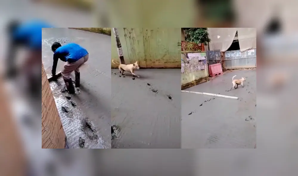 Desliza para ver el desenlace de este video viral de Facebook. Foto: Captura. Desliza para ver el desenlace de este video viral de Facebook. Foto: Captura.