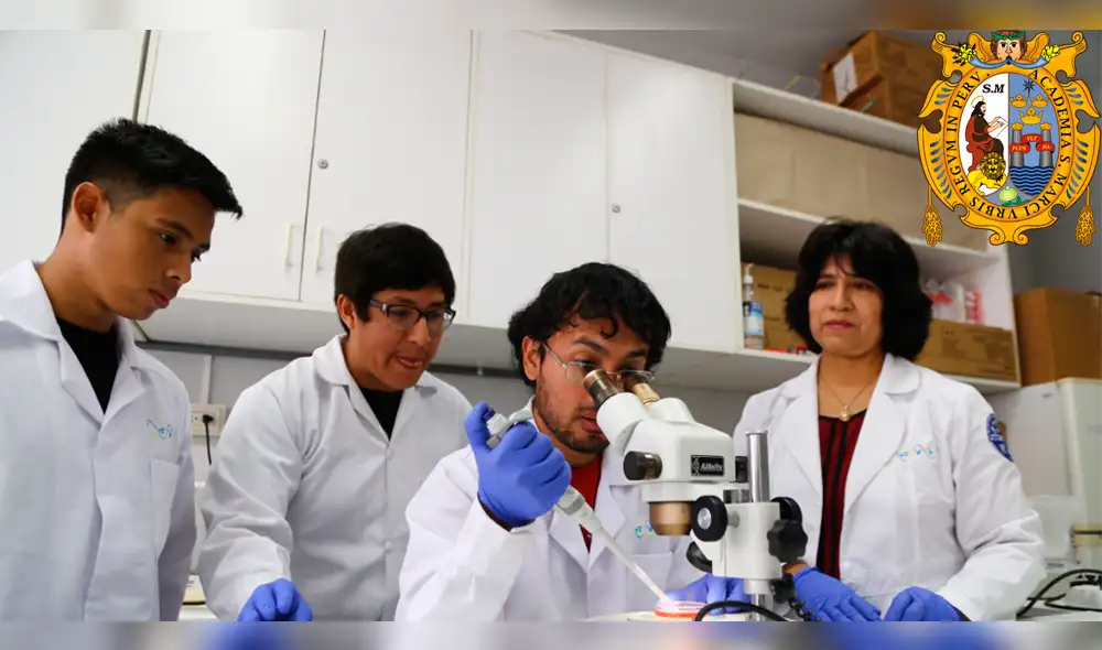 El único laboratorio de clonación de alpaca del mundo lo tendrá la U. San Marcos