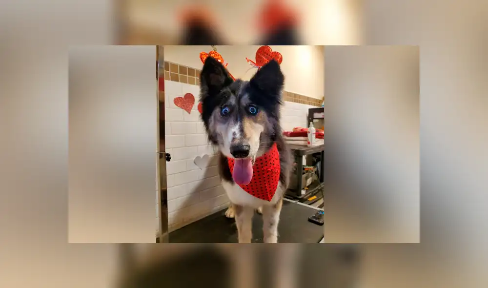 Desliza para ver las imágenes más tiernas de la historia viral de Facebook. Desliza para ver las imágenes más tiernas de la historia viral de Facebook.