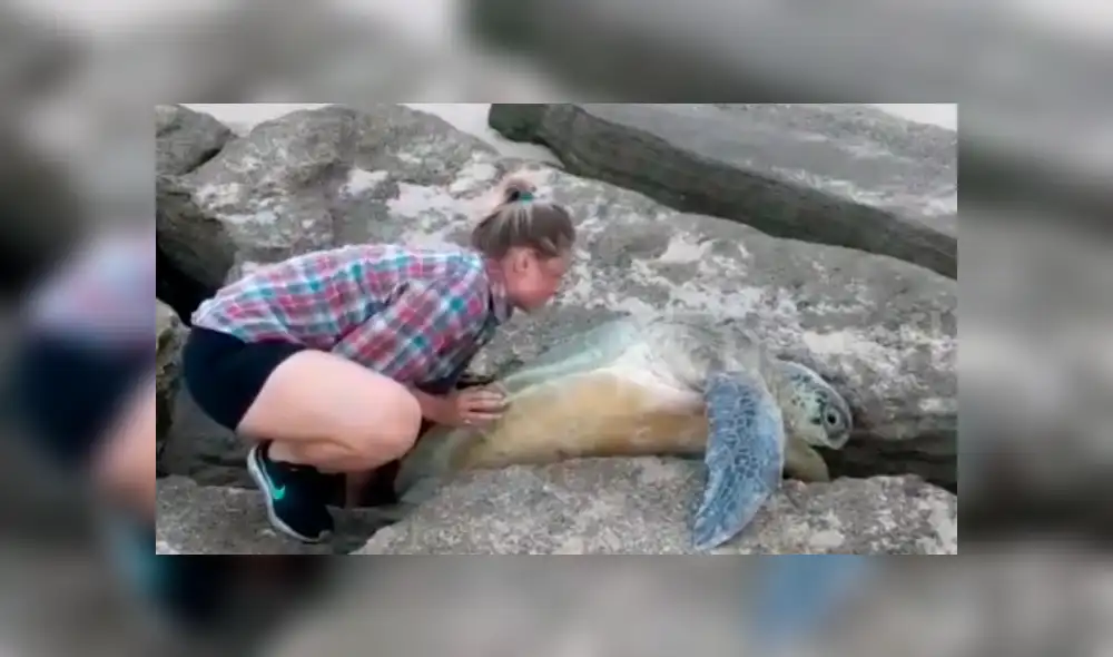 Jóvenes encuentran misteriosa criatura atrapada entre las rocas.