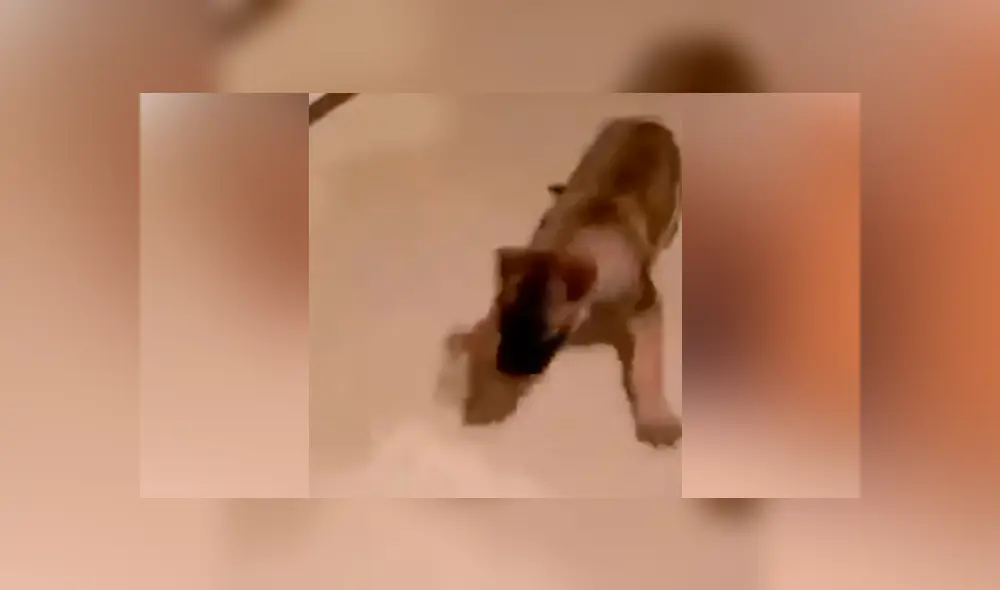 Desliza para ver los momentos más divertidos del video que se hizo viral en Facebook.